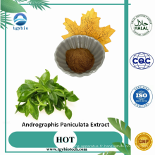Andrographis paniculata extrait poudre 98% Andrographolide